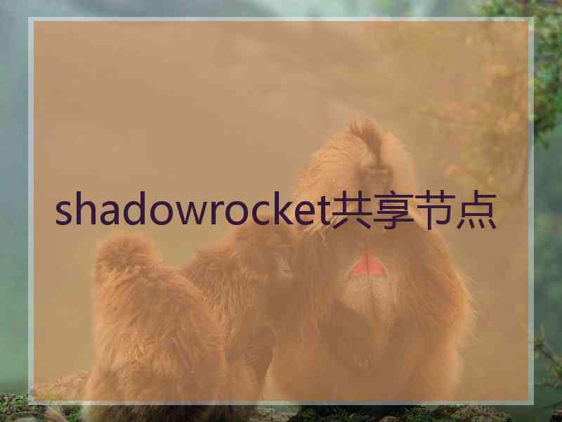 shadowrocket共享节点