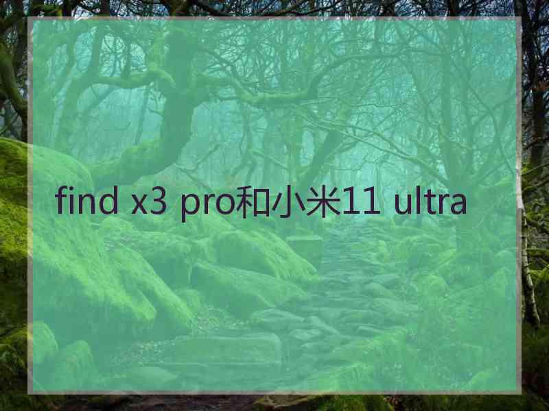 find x3 pro和小米11 ultra