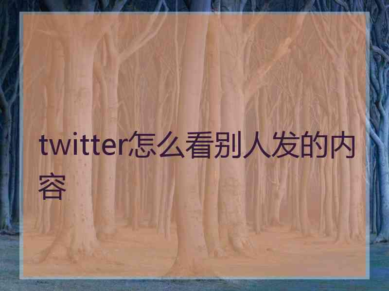 twitter怎么看别人发的内容