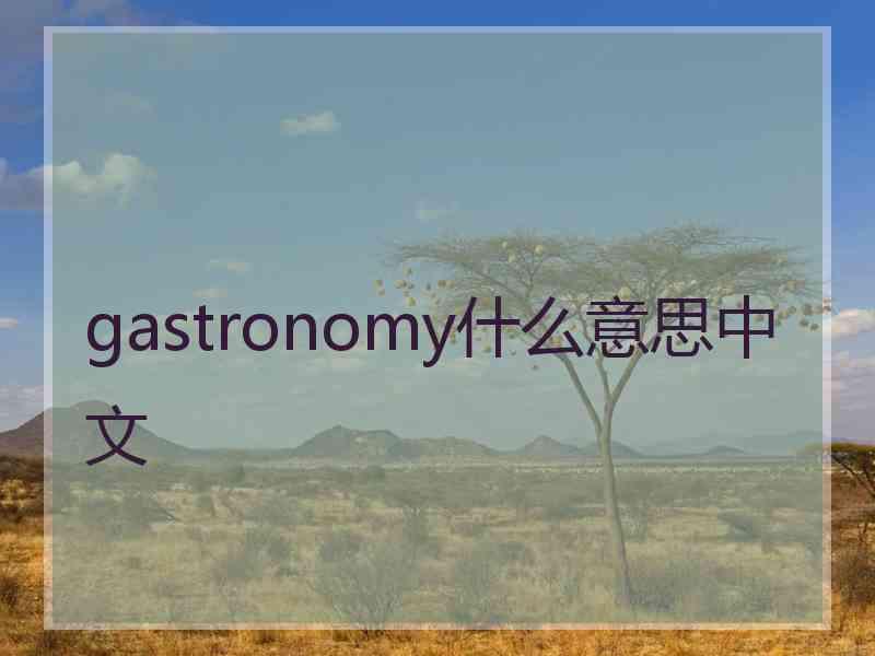 gastronomy什么意思中文