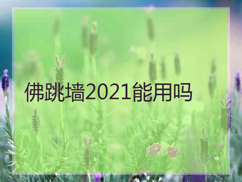 佛跳墙2021能用吗