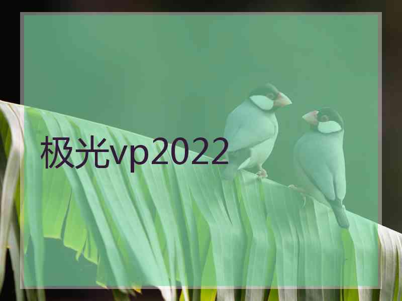 极光vp2022