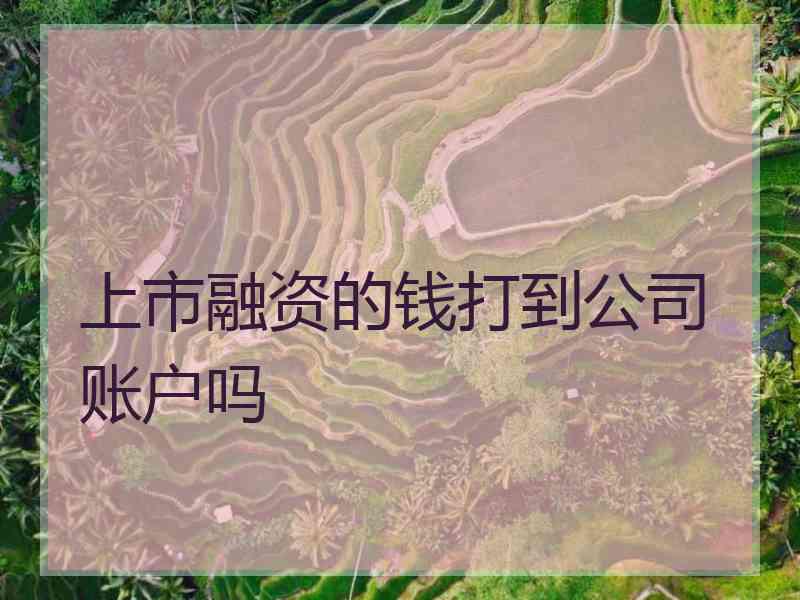 上市融资的钱打到公司账户吗