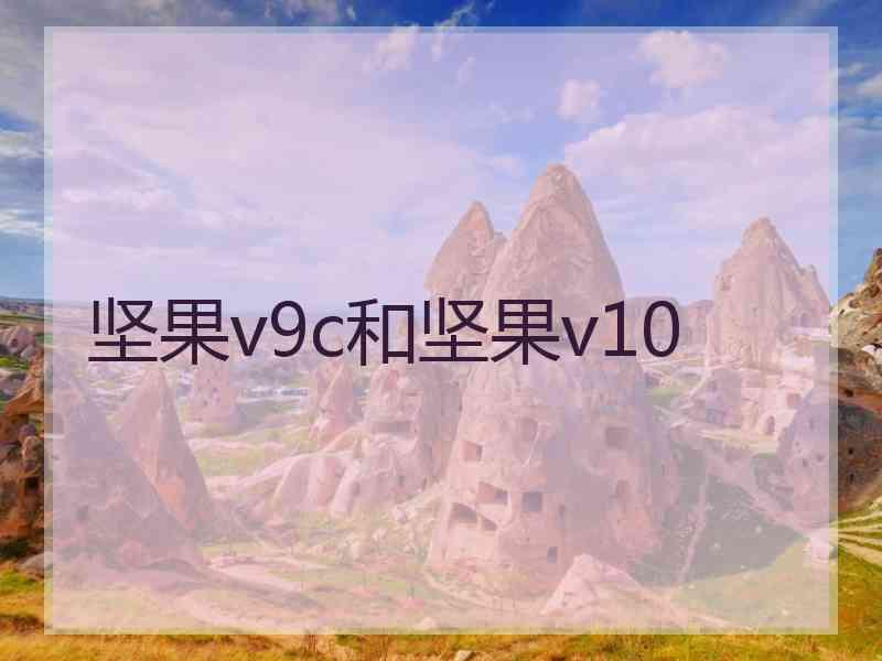 坚果v9c和坚果v10