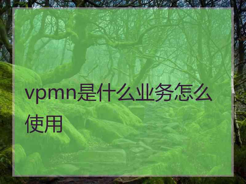 vpmn是什么业务怎么使用