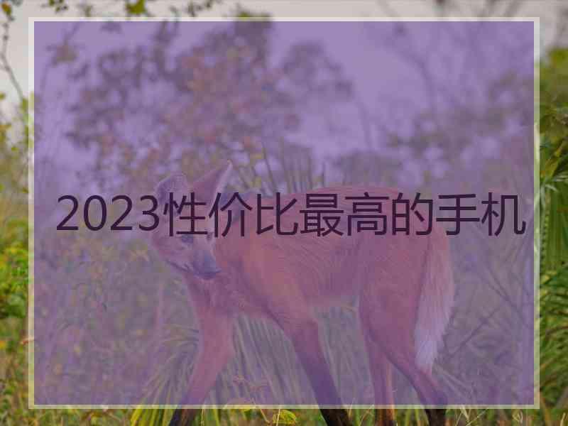 2023性价比最高的手机