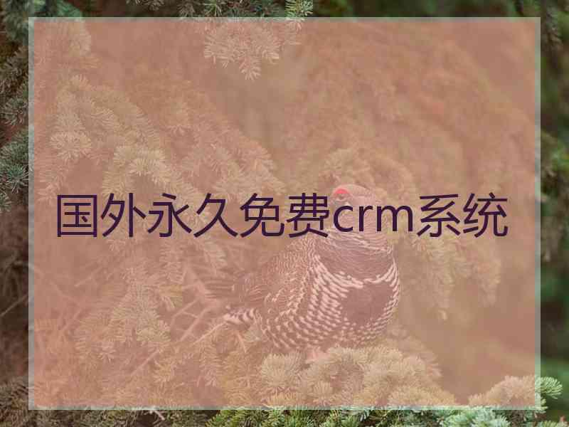 国外永久免费crm系统