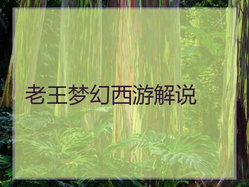 老王梦幻西游解说