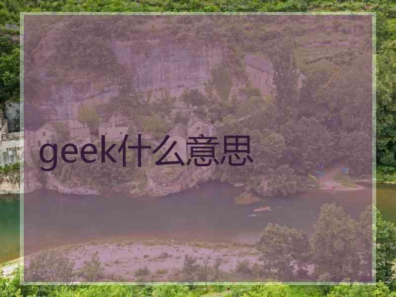 geek什么意思