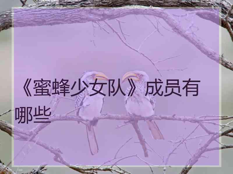 《蜜蜂少女队》成员有哪些