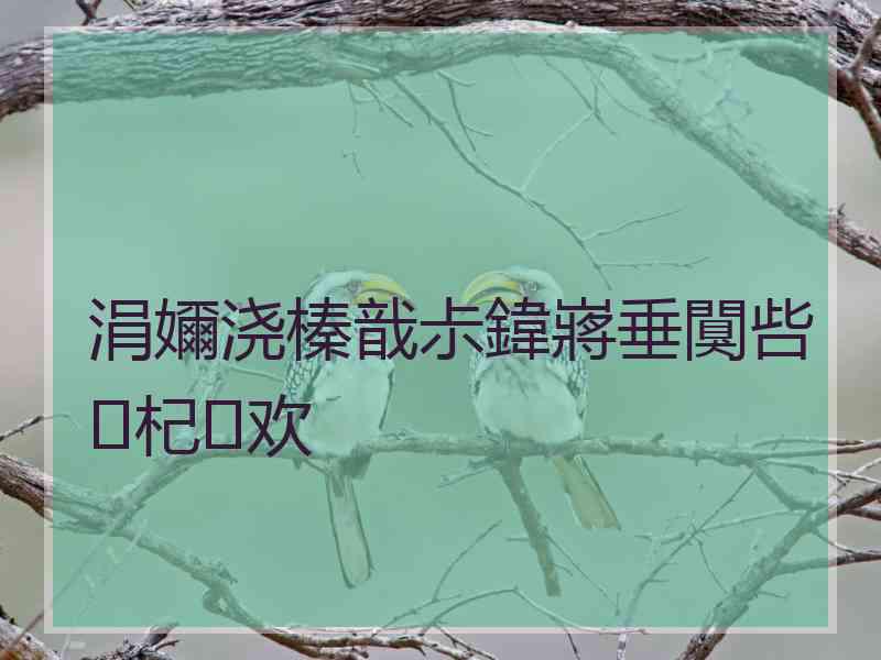 涓嬭浇榛戠尗鍏嶈垂闃呰杞欢