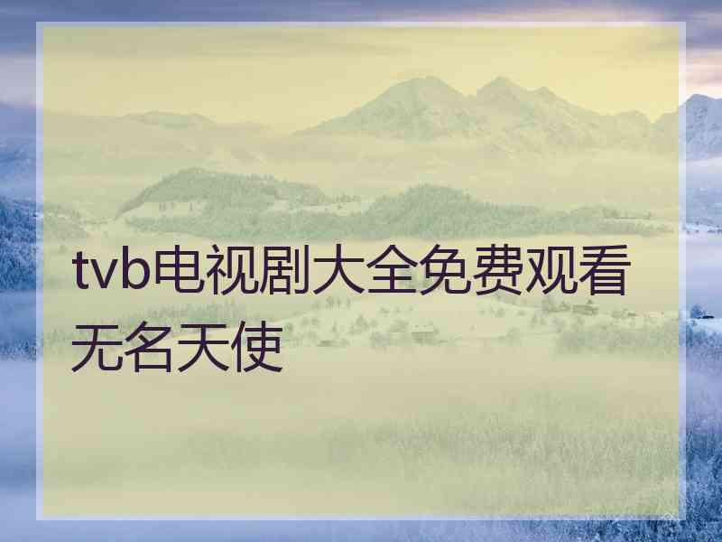 tvb电视剧大全免费观看无名天使