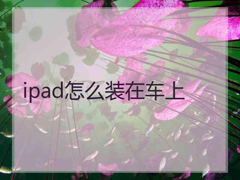 ipad怎么装在车上