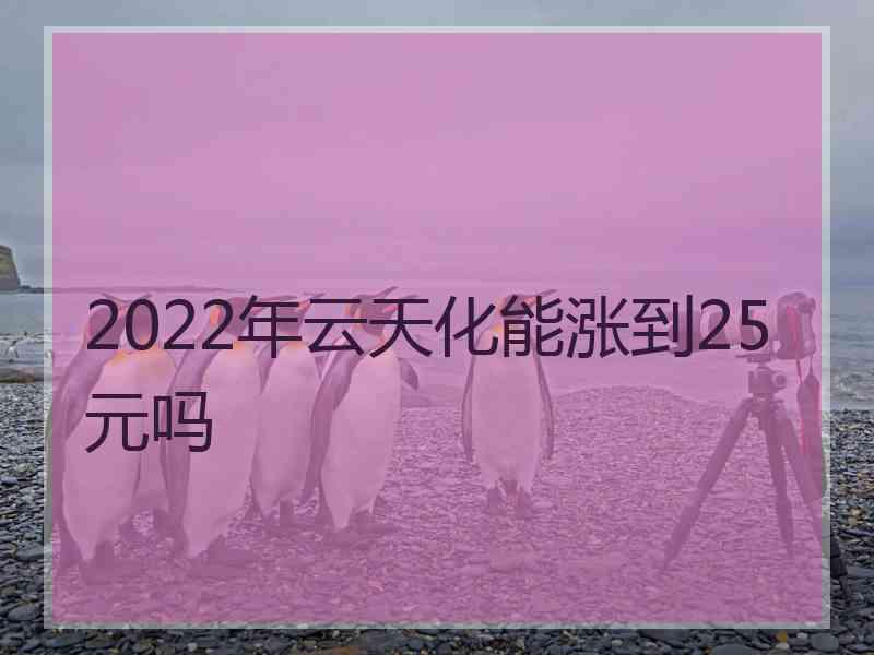 2022年云天化能涨到25元吗