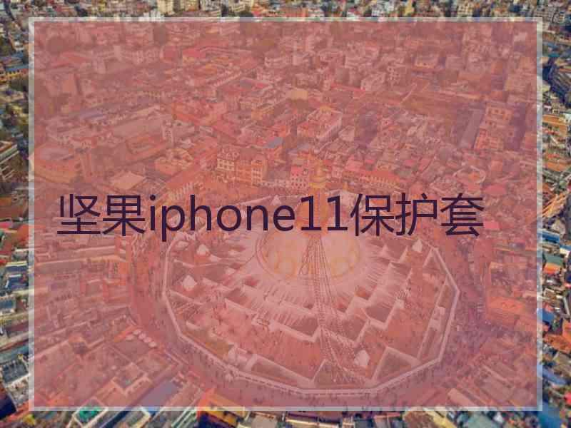 坚果iphone11保护套