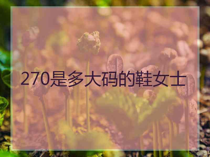 270是多大码的鞋女士