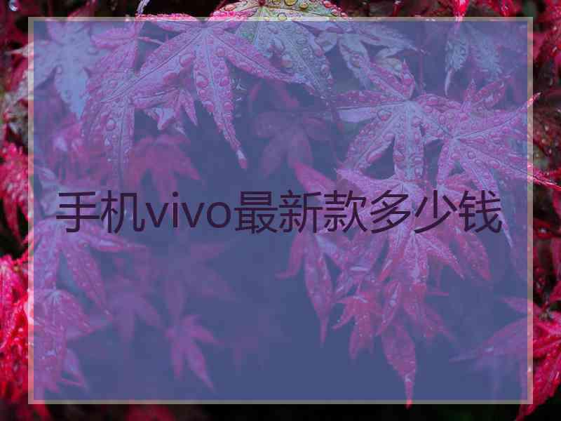 手机vivo最新款多少钱