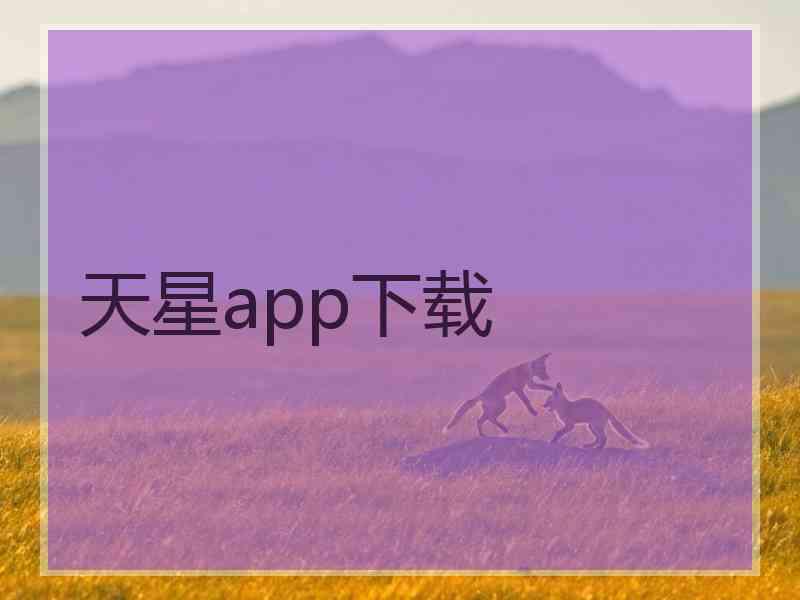 天星app下载