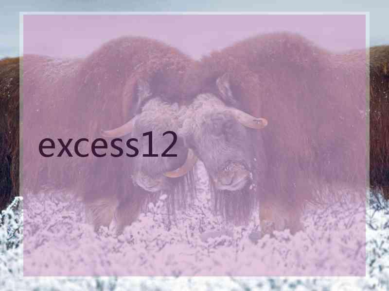 excess12