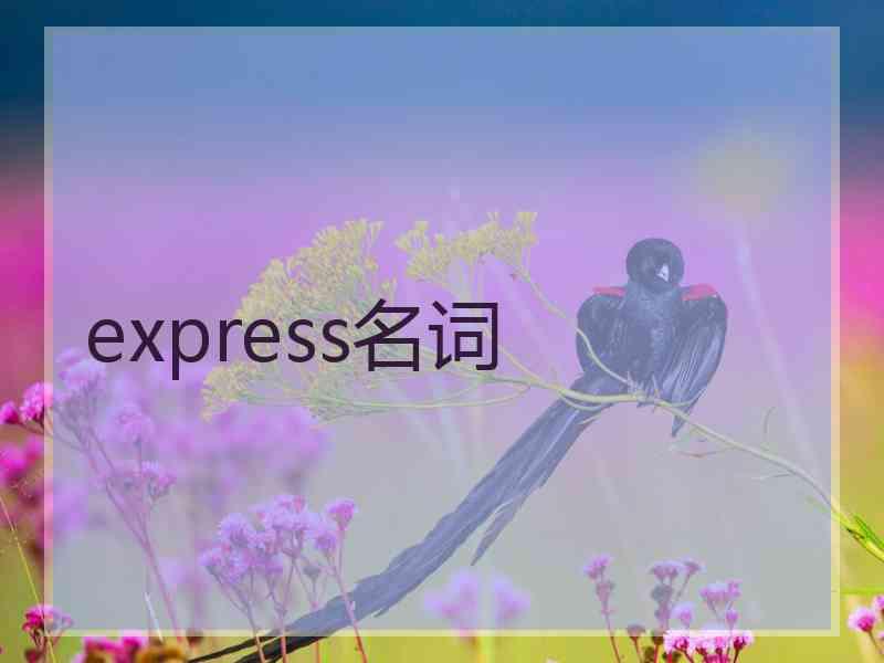 express名词