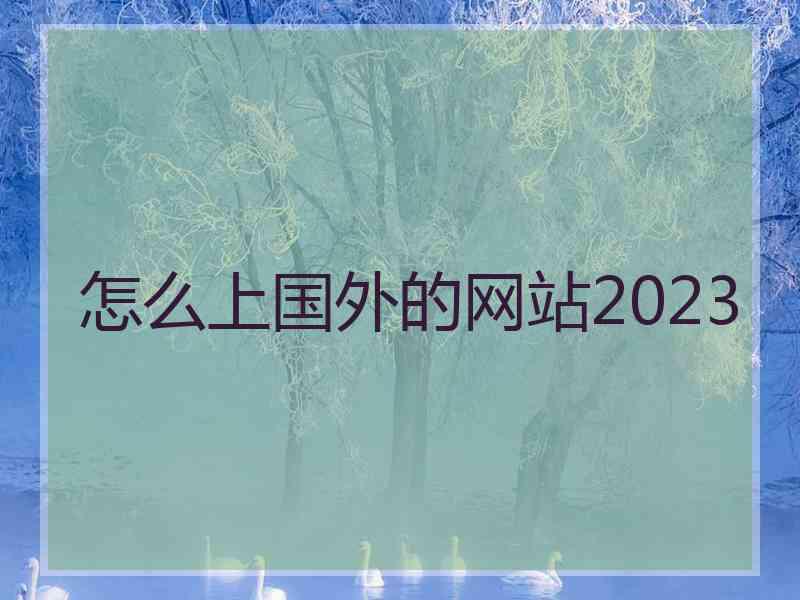 怎么上国外的网站2023