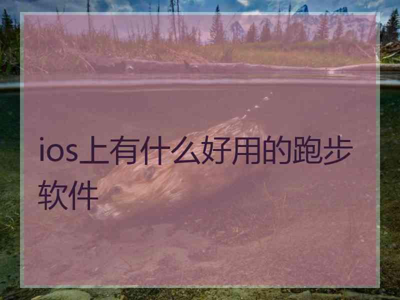 ios上有什么好用的跑步软件