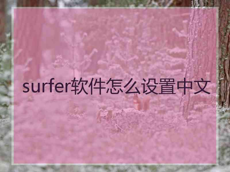 surfer软件怎么设置中文