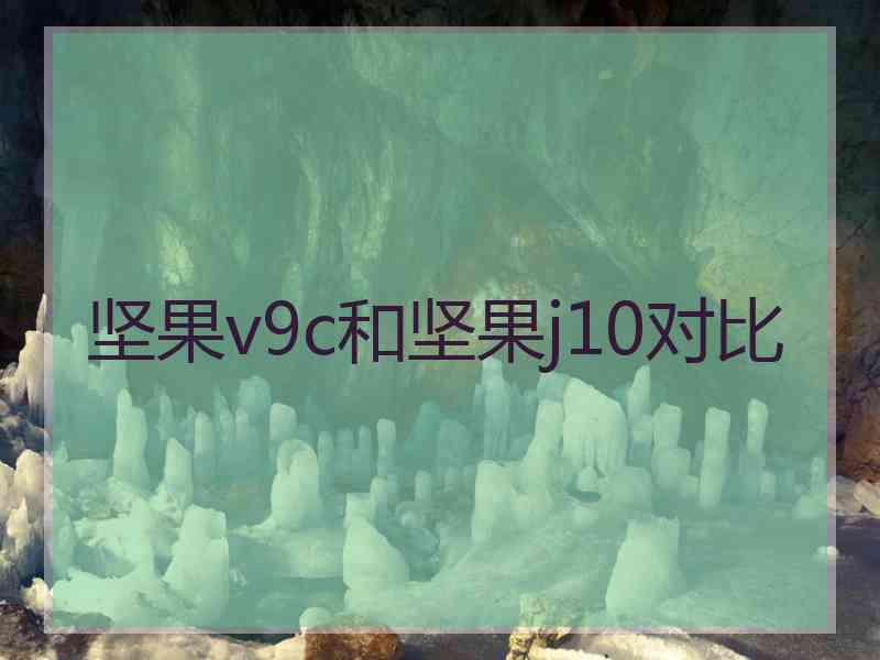 坚果v9c和坚果j10对比