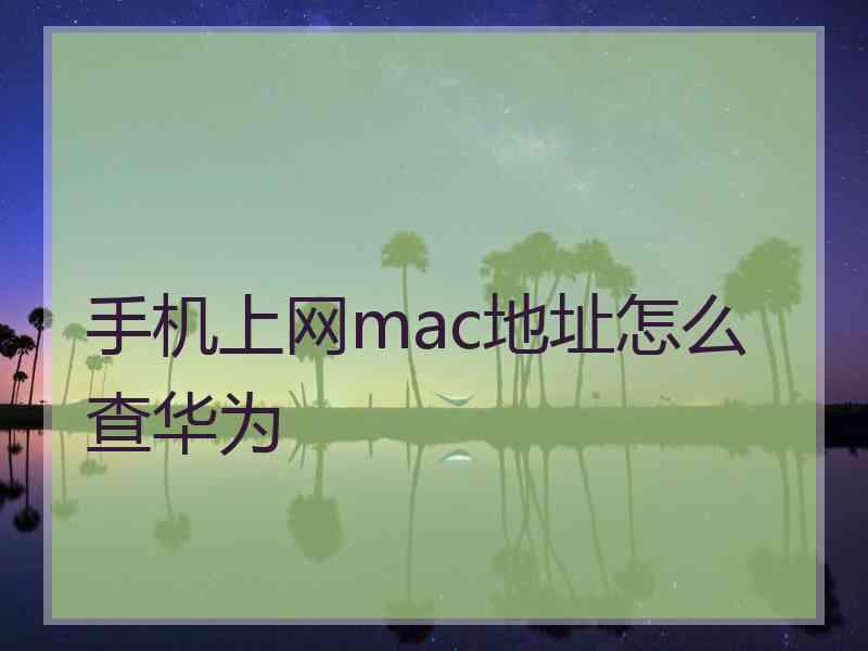 手机上网mac地址怎么查华为