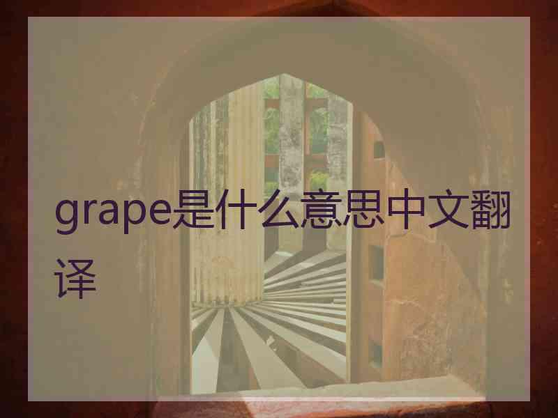 grape是什么意思中文翻译