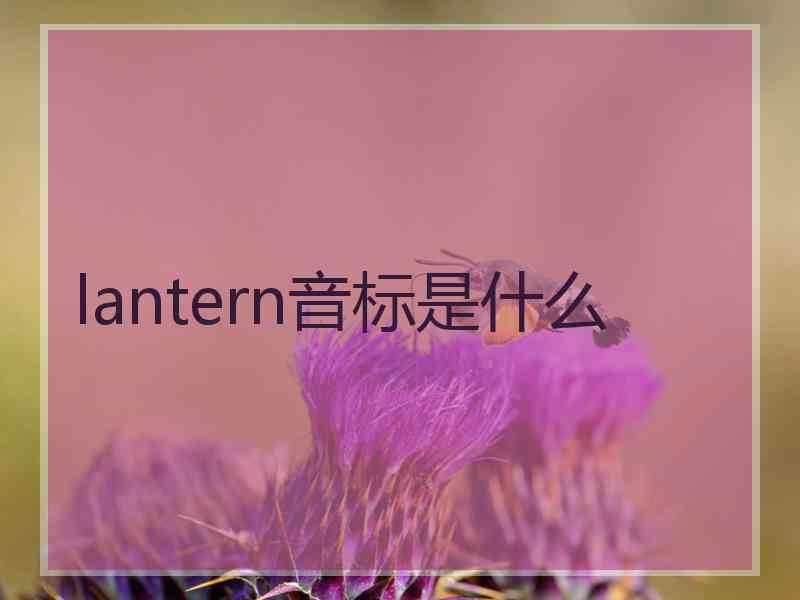 lantern音标是什么