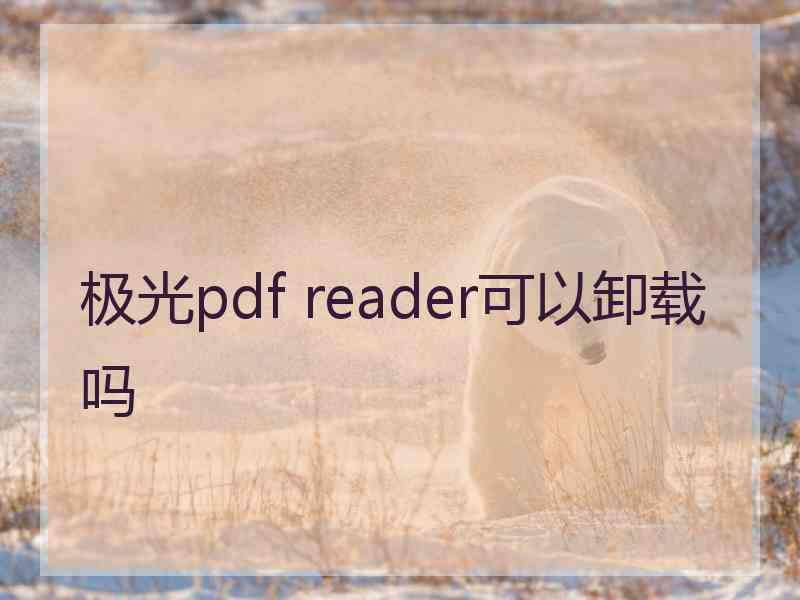 极光pdf reader可以卸载吗