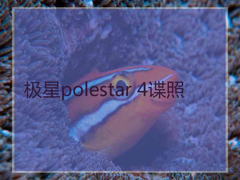 极星polestar 4谍照