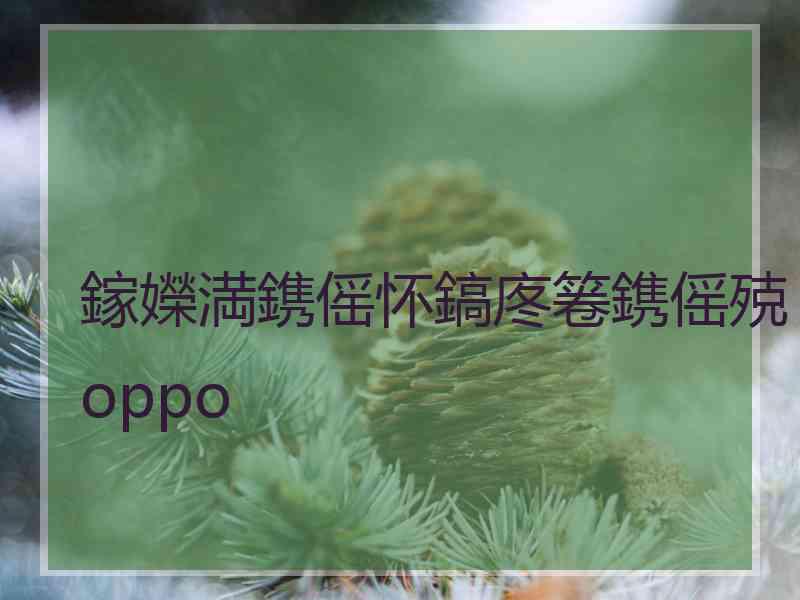 鎵嬫満鎸傜怀鎬庝箞鎸傜殑oppo