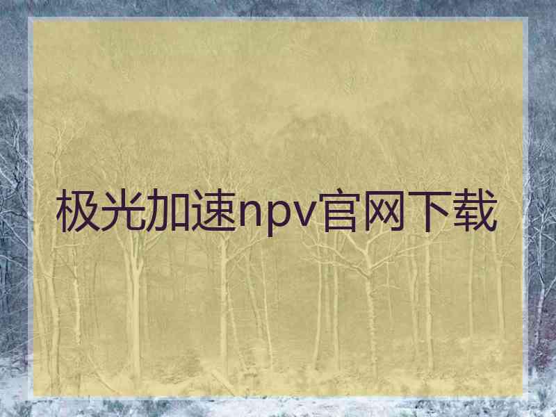 极光加速npv官网下载