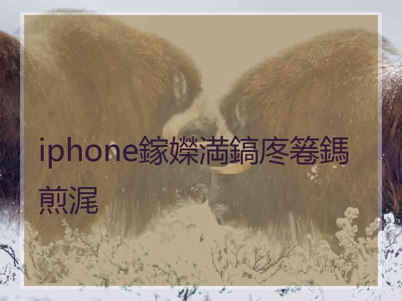 iphone鎵嬫満鎬庝箞鎷煎浘