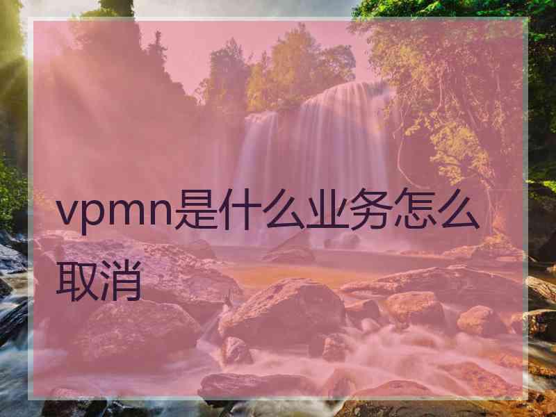 vpmn是什么业务怎么取消