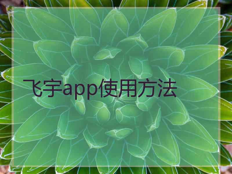 飞宇app使用方法