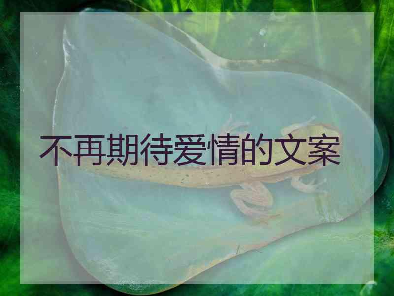 不再期待爱情的文案