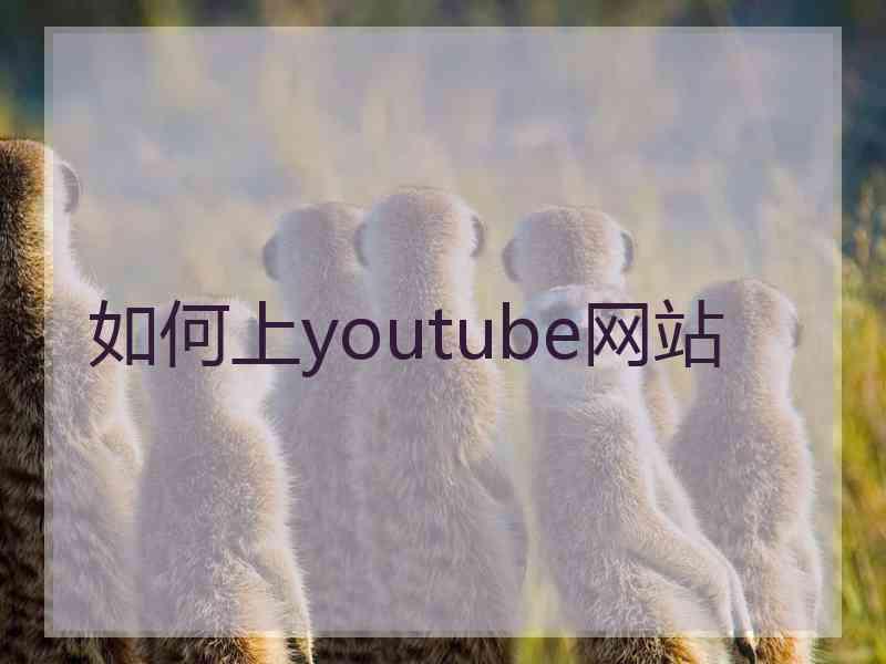 如何上youtube网站