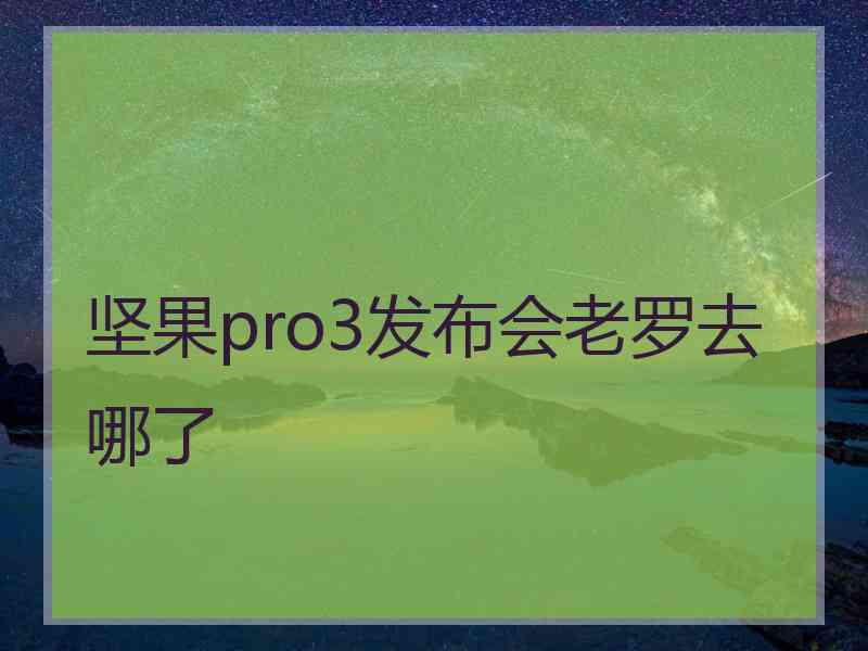 坚果pro3发布会老罗去哪了