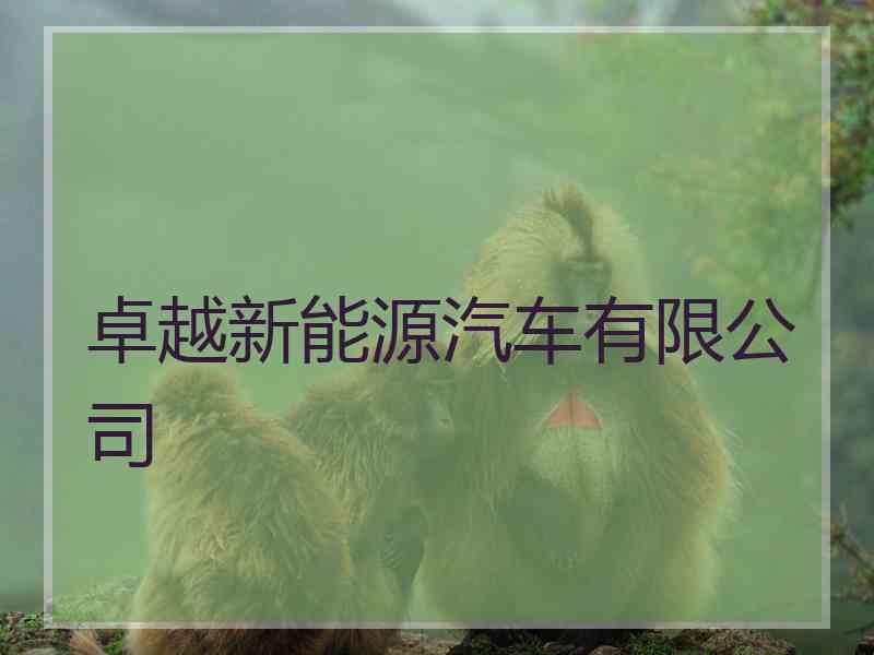 卓越新能源汽车有限公司