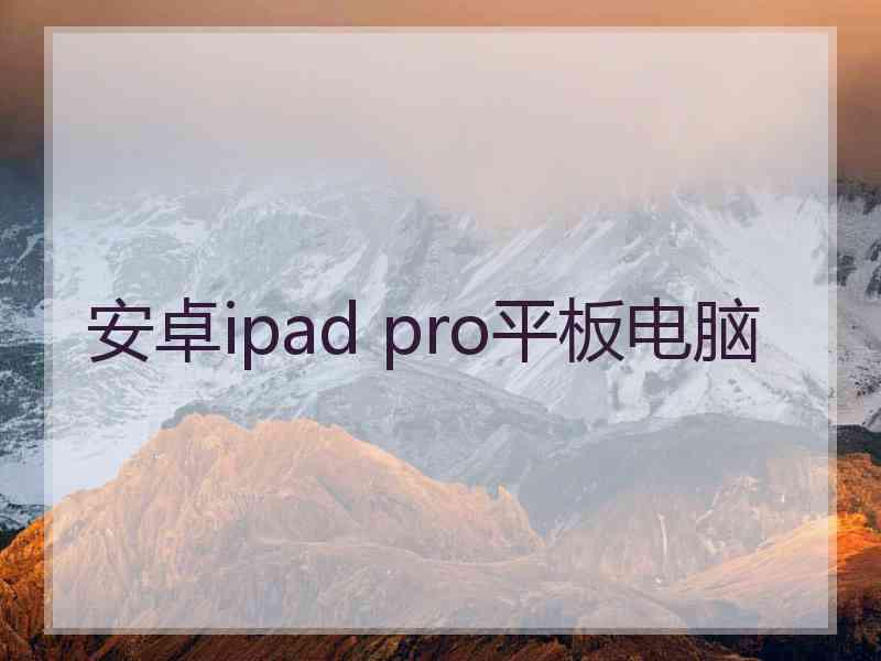 安卓ipad pro平板电脑