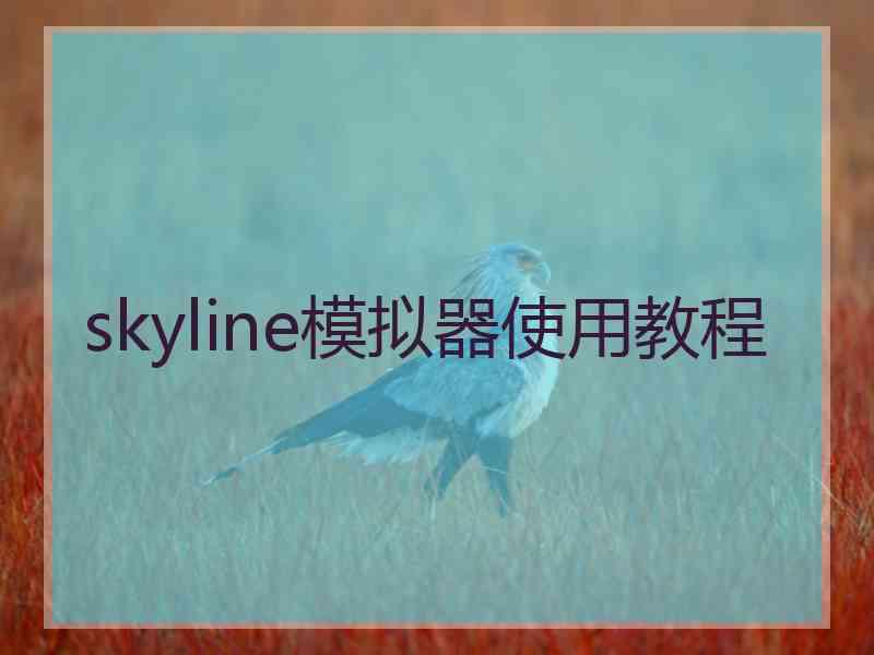 skyline模拟器使用教程