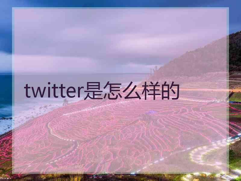 twitter是怎么样的