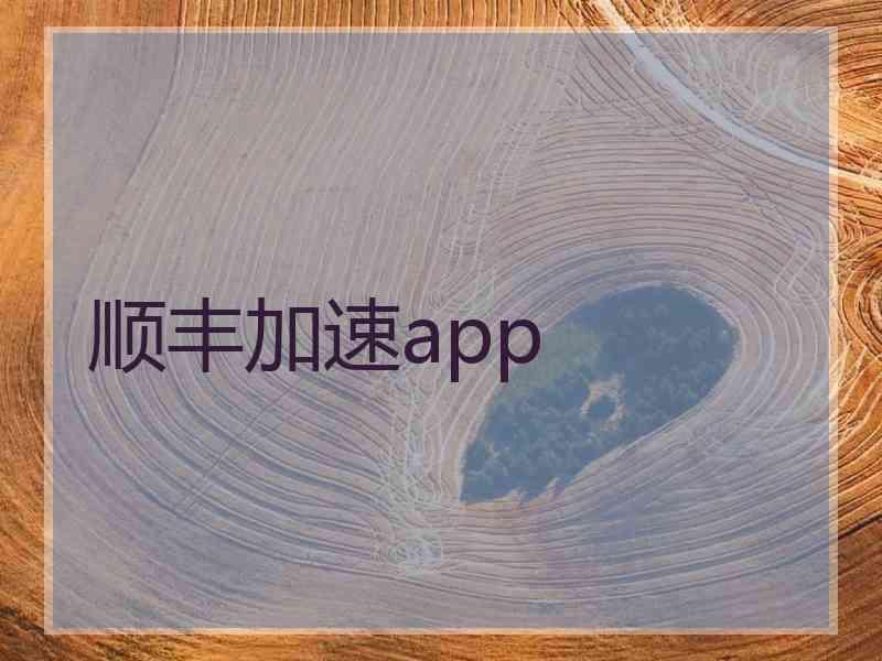 顺丰加速app