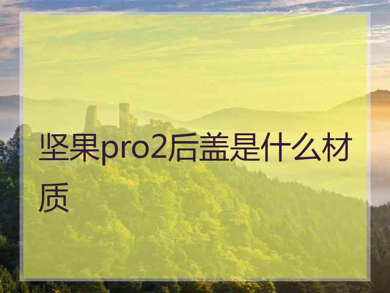 坚果pro2后盖是什么材质