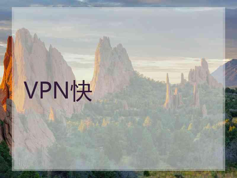 VPN快