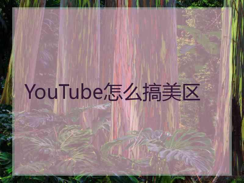 YouTube怎么搞美区