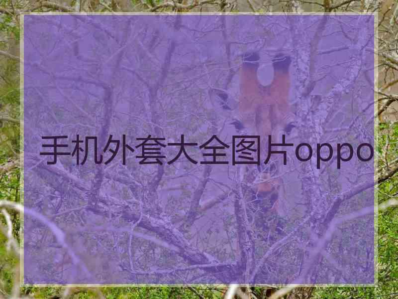 手机外套大全图片oppo